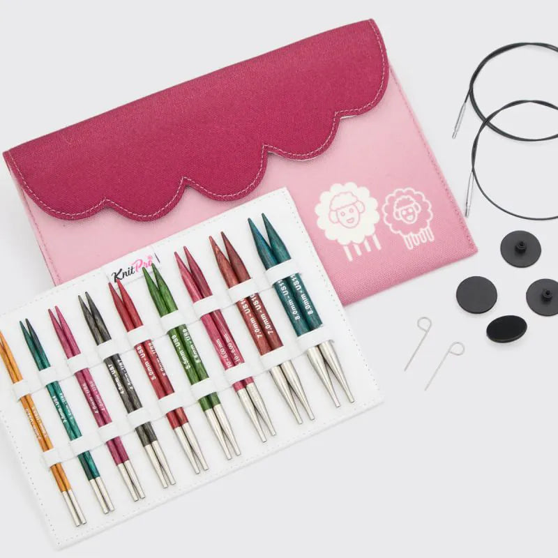 Dreamz 5" Deluxe Interchangeable Needle Set